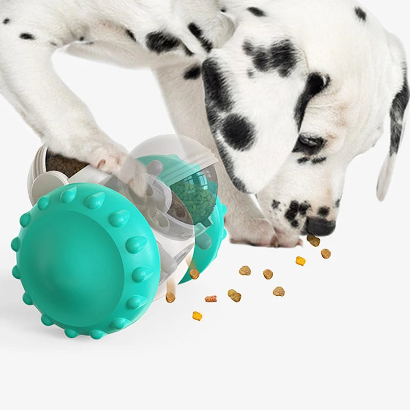Jouet d’équilibre pour chien – Distributeur interactif