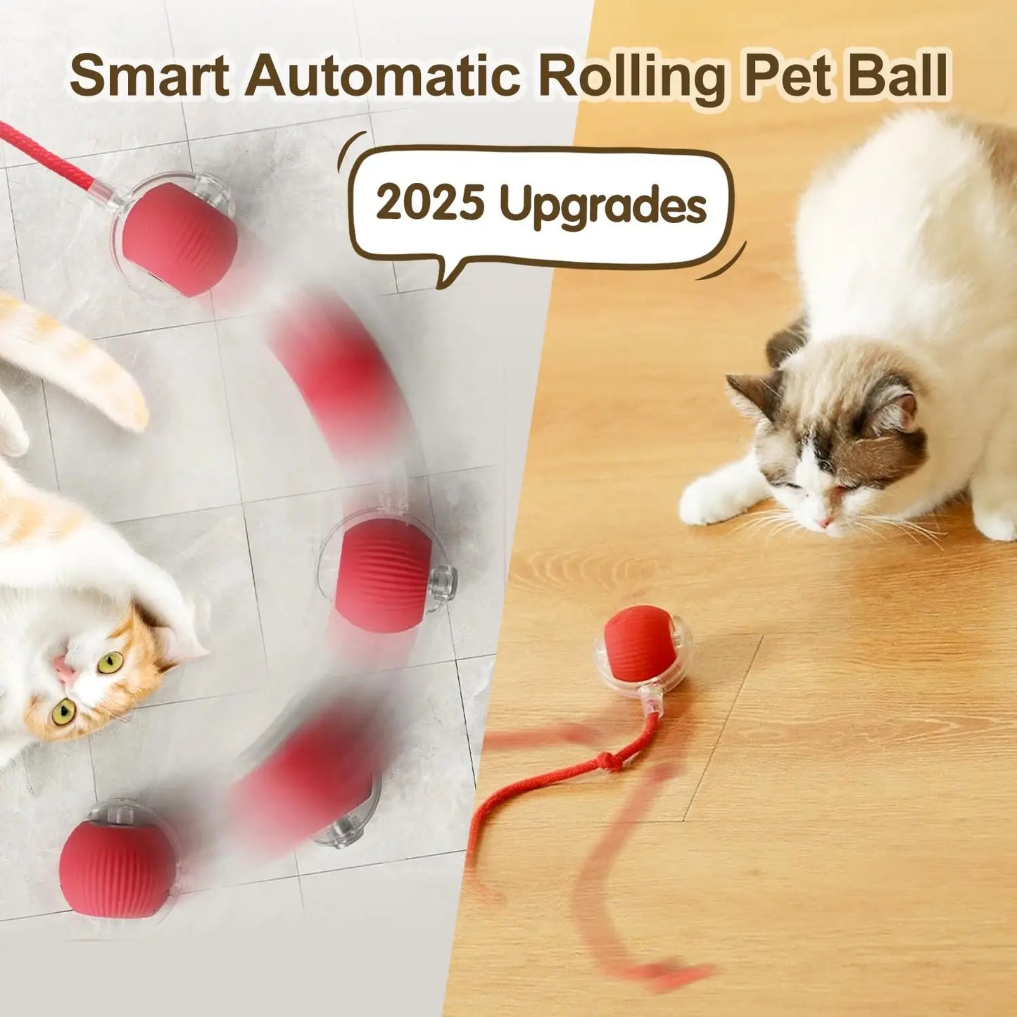 Jouet Chat Interactif – Balle Roulante Automatique avec Queue USB