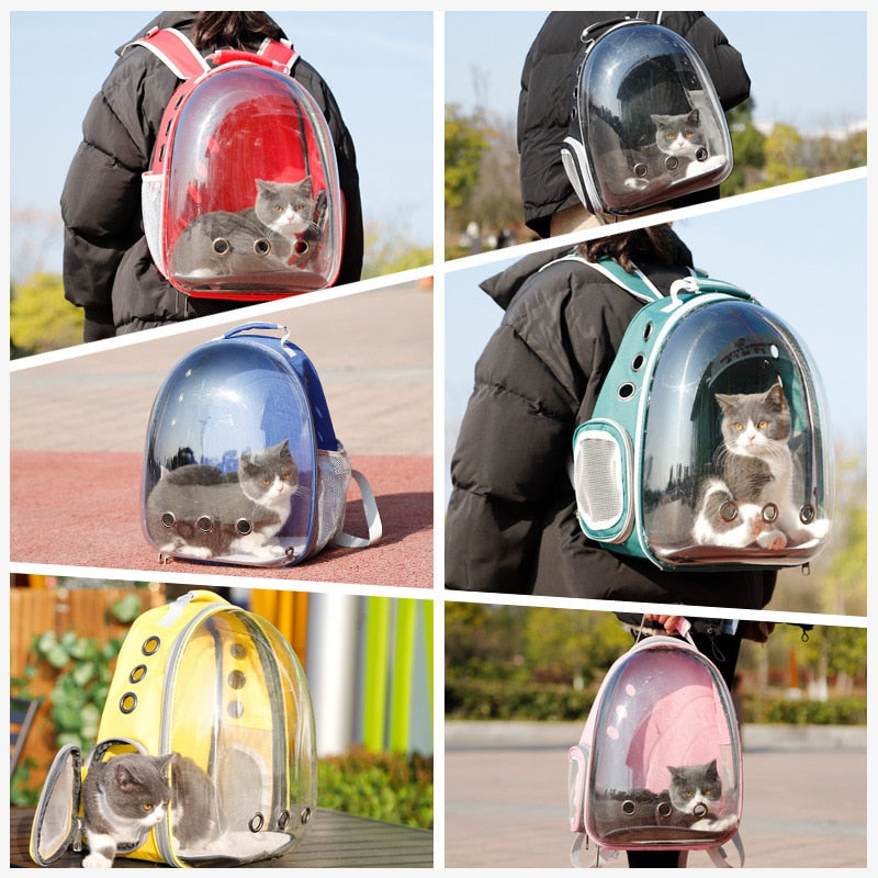 Sac à dos capsule transparent pour animaux, portable et respirant