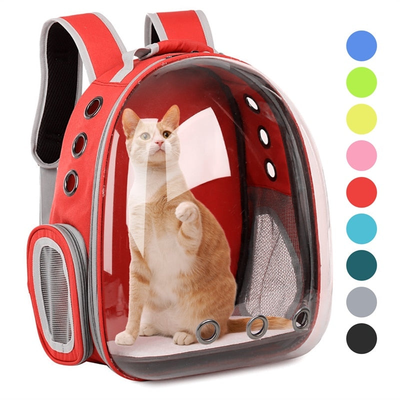 Sac à dos capsule transparent pour animaux, portable et respirant