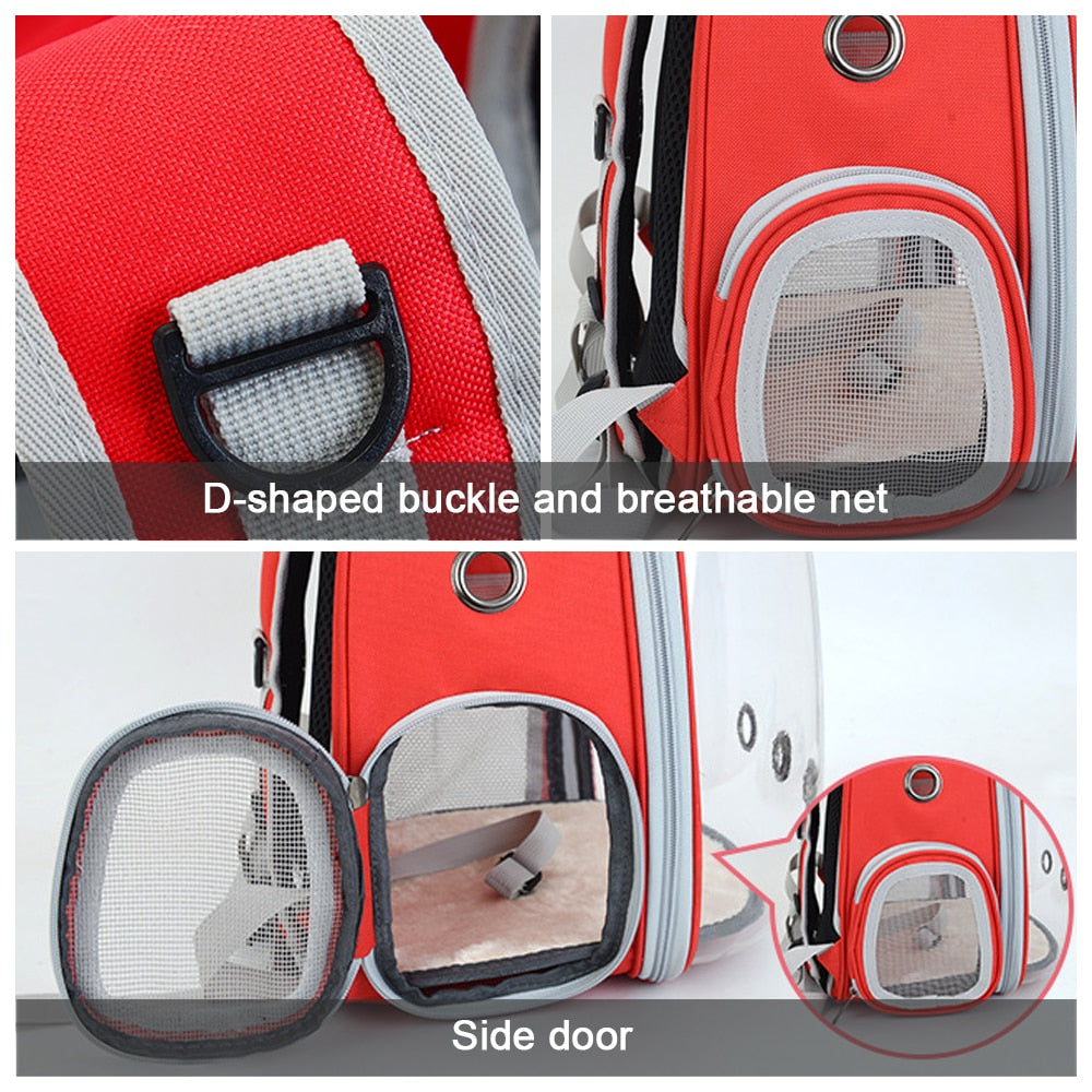 Sac à dos capsule transparent pour animaux, portable et respirant