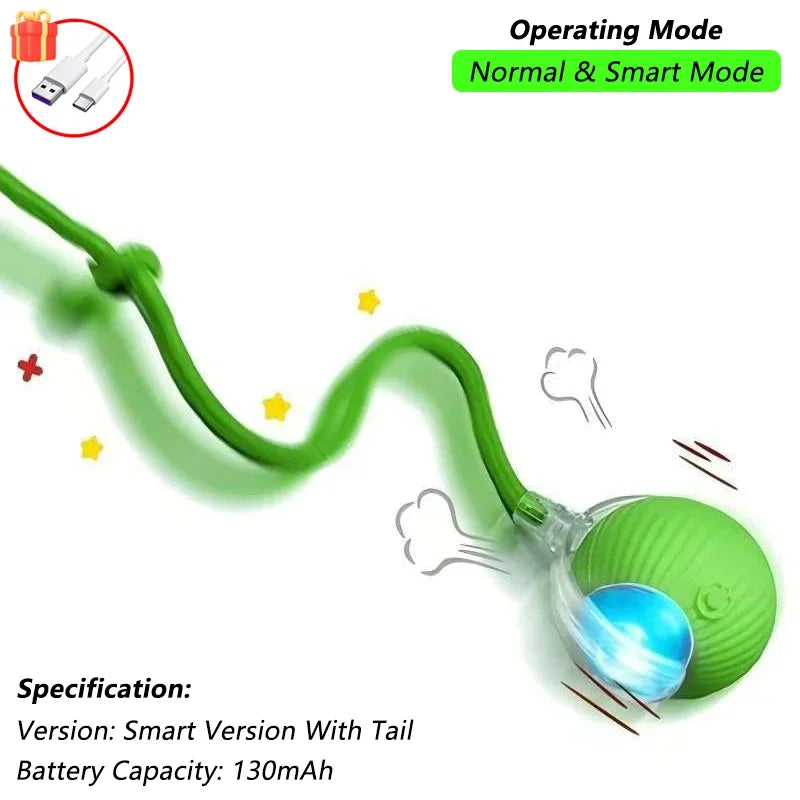 Jouet Chat Interactif – Balle Roulante Automatique avec Queue USB