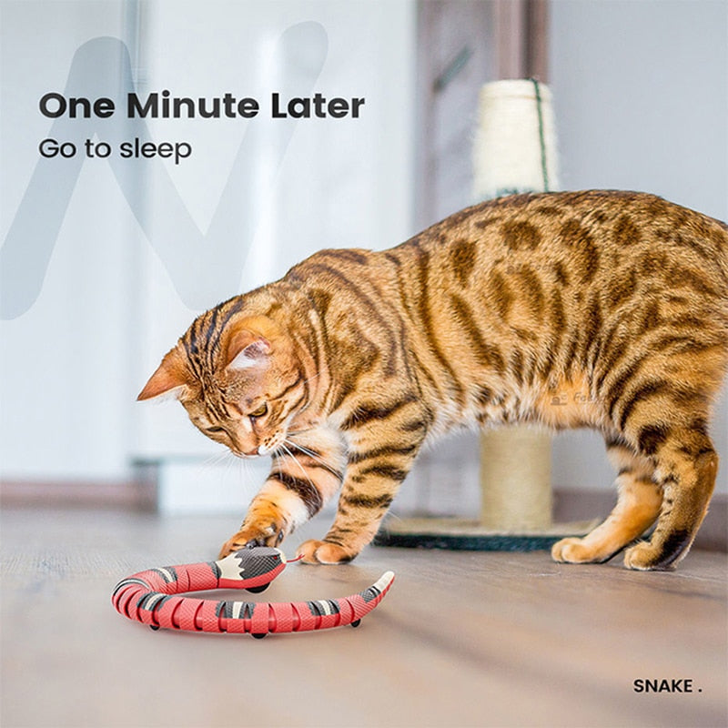 ouet Serpent Interactif USB pour Chat à Détection Intelligente