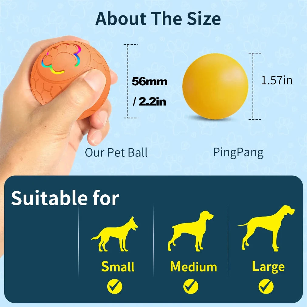 👉 Balle interactive pour chien et chat – Électronique et rechargeable