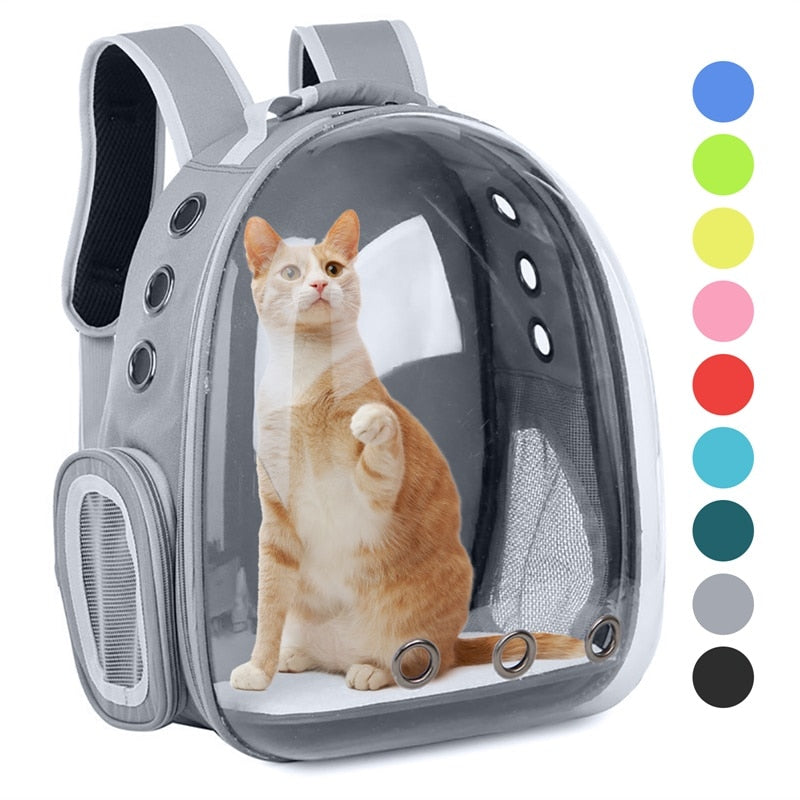 Sac à dos capsule transparent pour animaux, portable et respirant