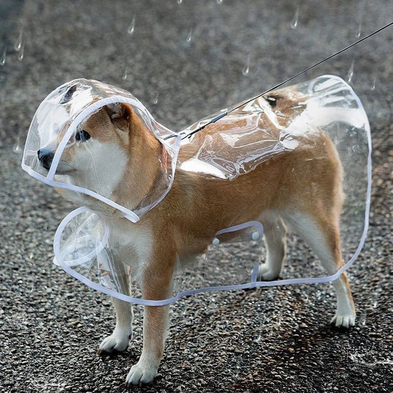 👉 Imperméable transparent pour chien – Poncho de pluie toutes tailles