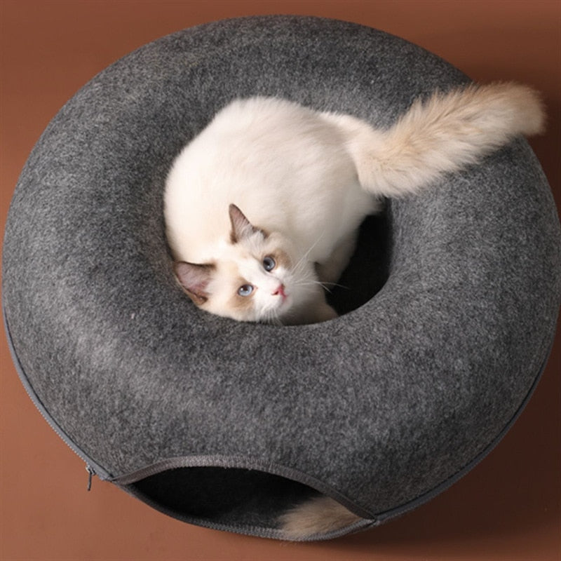 Lit Donut et Tunnel interactif pour chat, jouet 2 en 1 d’intérieur