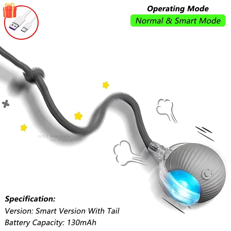 Jouet Chat Interactif – Balle Roulante Automatique avec Queue USB