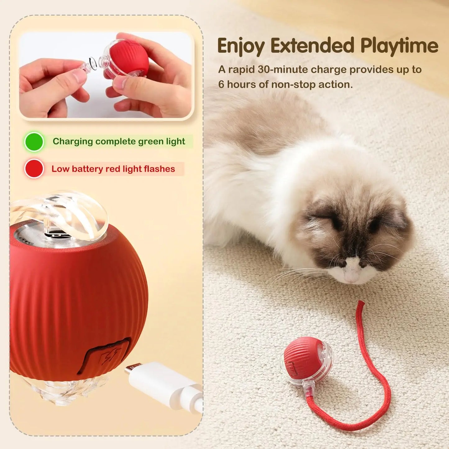 Jouet Chat Interactif – Balle Roulante Automatique avec Queue USB