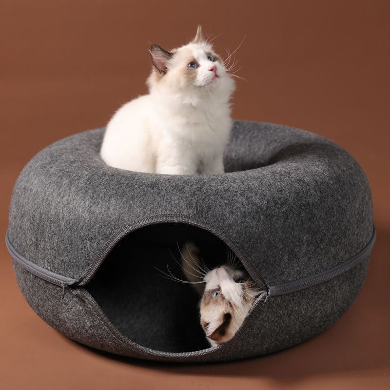 Lit Donut et Tunnel interactif pour chat, jouet 2 en 1 d’intérieur