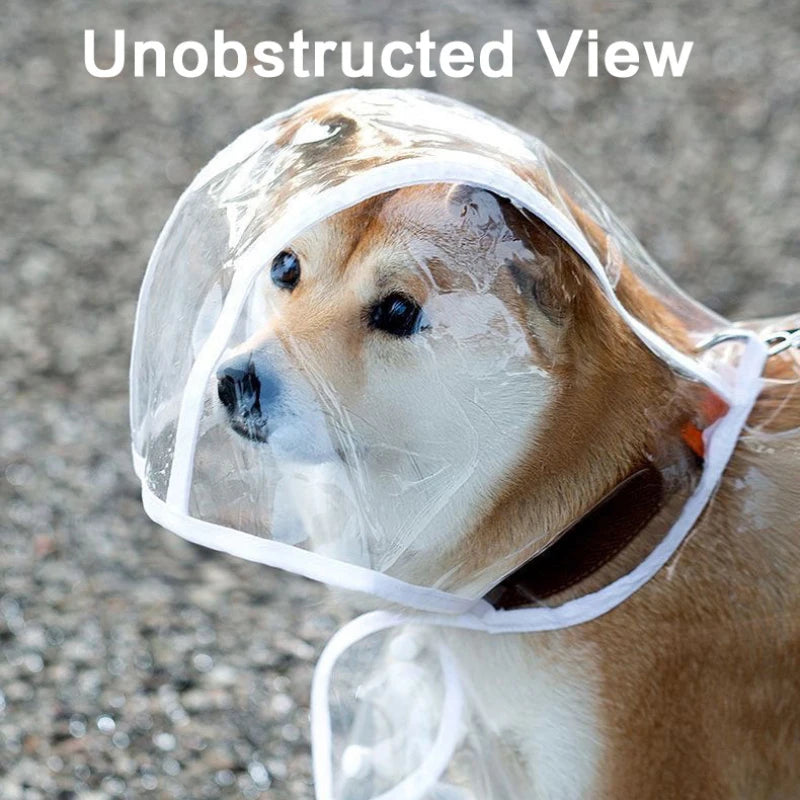 👉 Imperméable transparent pour chien – Poncho de pluie toutes tailles