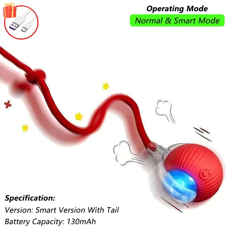 Jouet Chat Interactif – Balle Roulante Automatique avec Queue USB