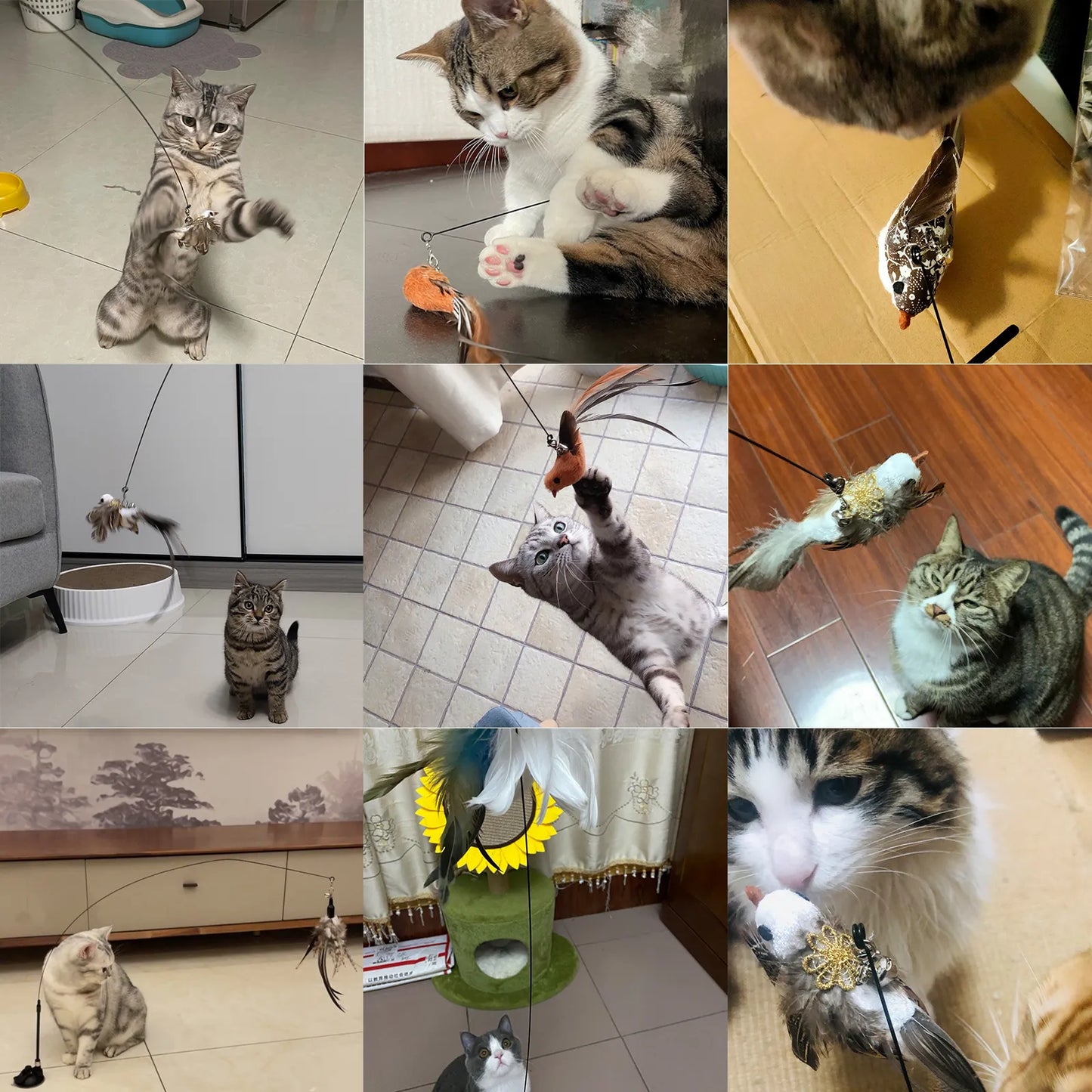 Baguette interactive plume pour chat avec cloche et ventouse puissante