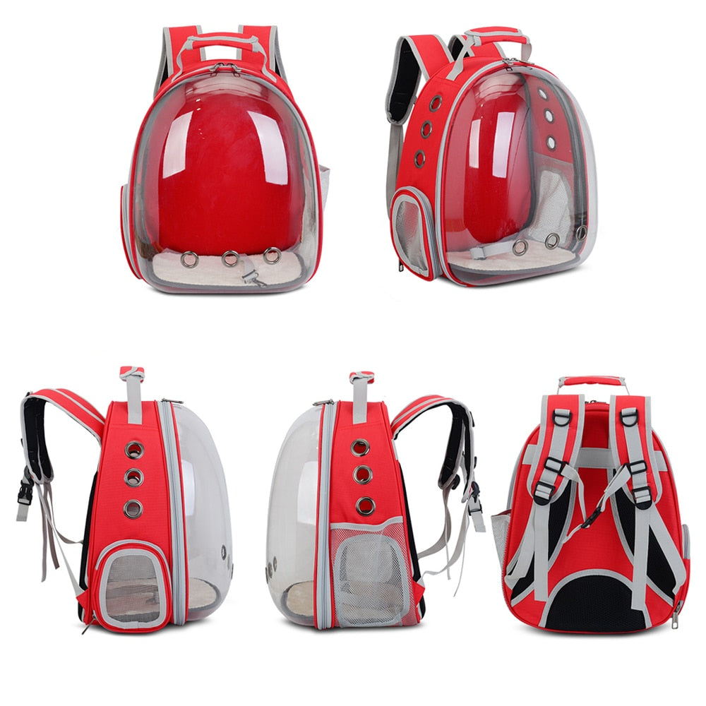 Sac à dos capsule transparent pour animaux, portable et respirant