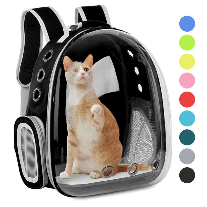 Sac à dos capsule transparent pour animaux, portable et respirant