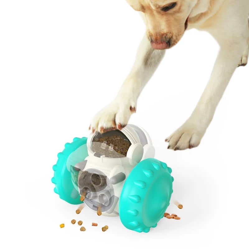 Jouet d’équilibre pour chien – Distributeur interactif