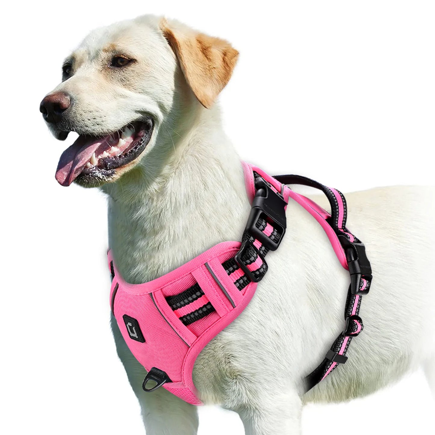 Harnais Chien Anti-Traction Ajustable – Confort Rembourré