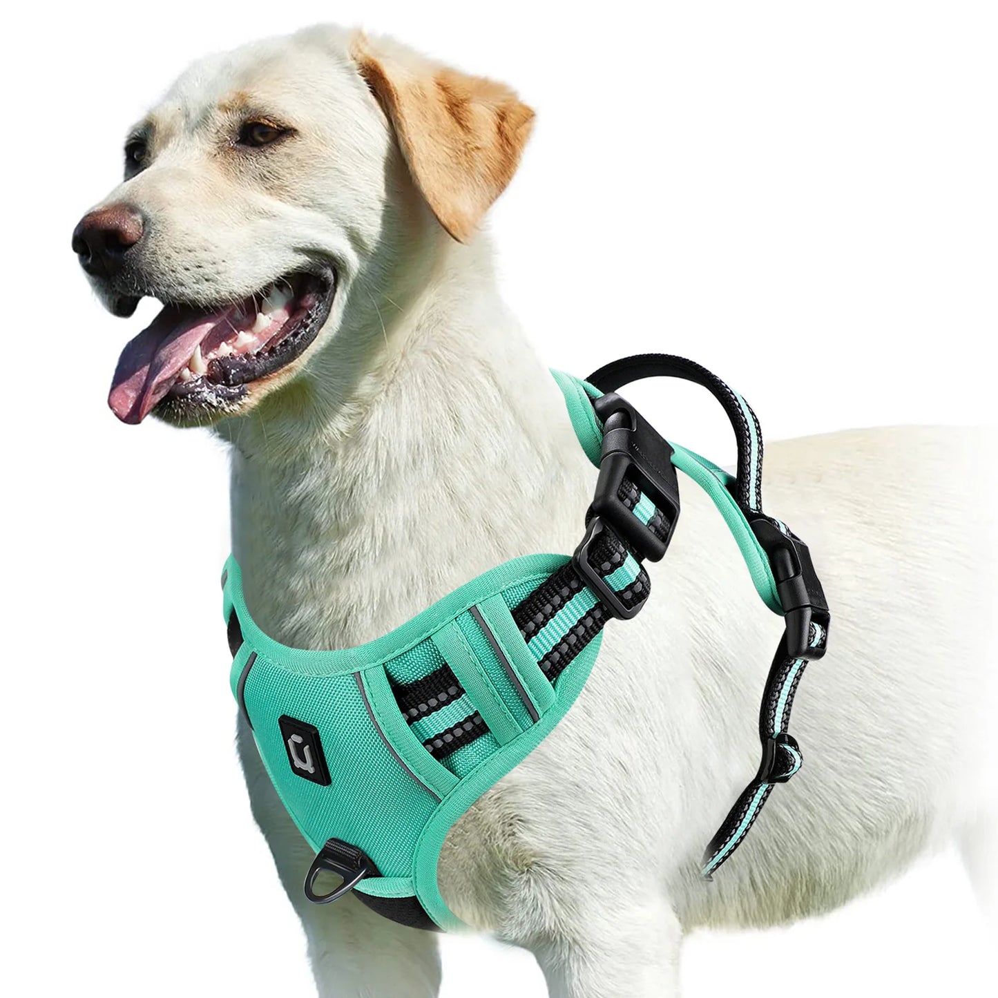 Harnais Chien Anti-Traction Ajustable – Confort Rembourré