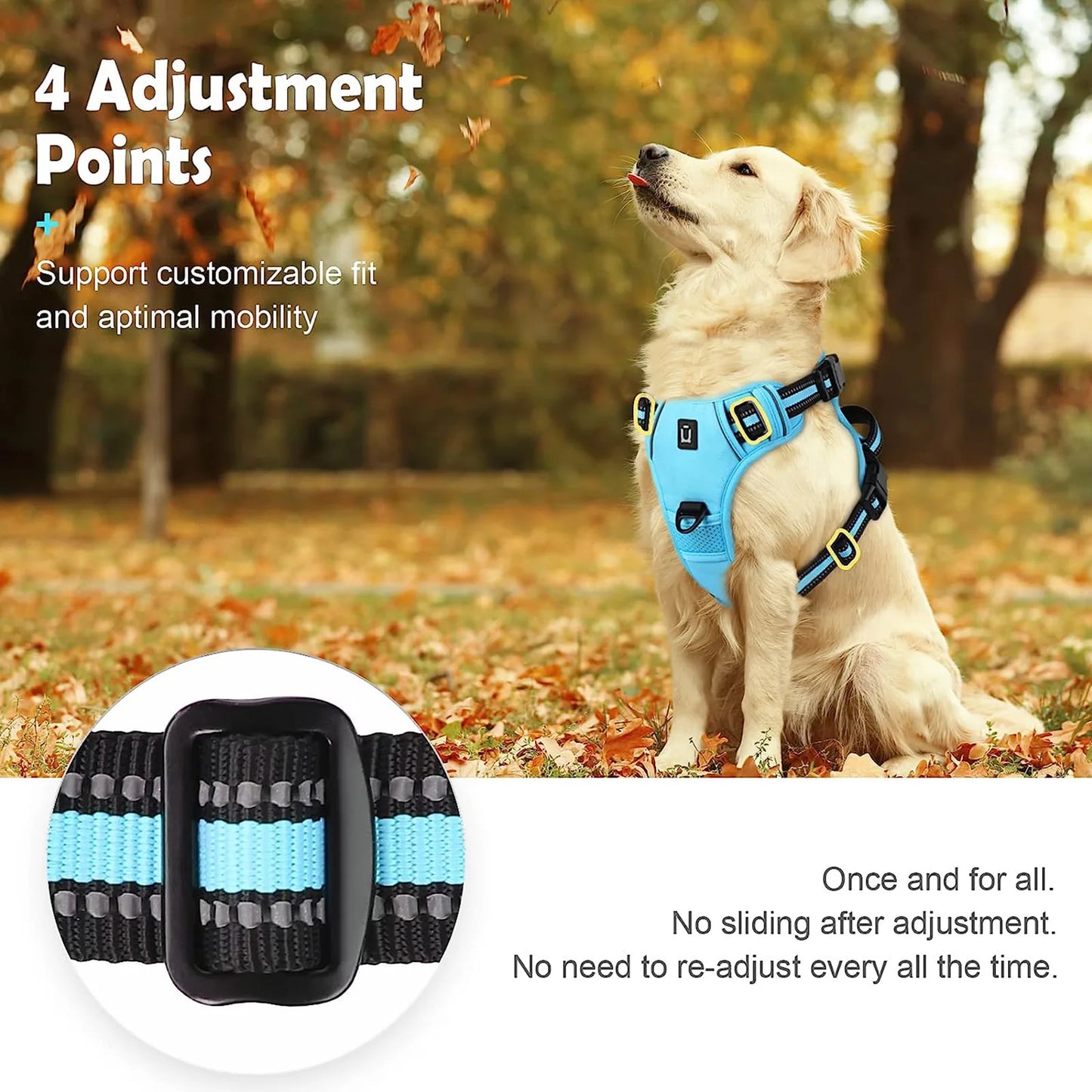 Harnais Chien Anti-Traction Ajustable – Confort Rembourré