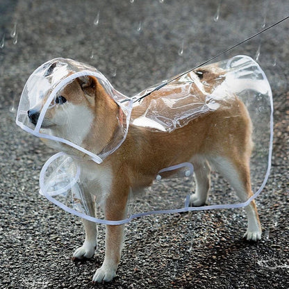 👉 Imperméable transparent pour chien – Poncho de pluie toutes tailles