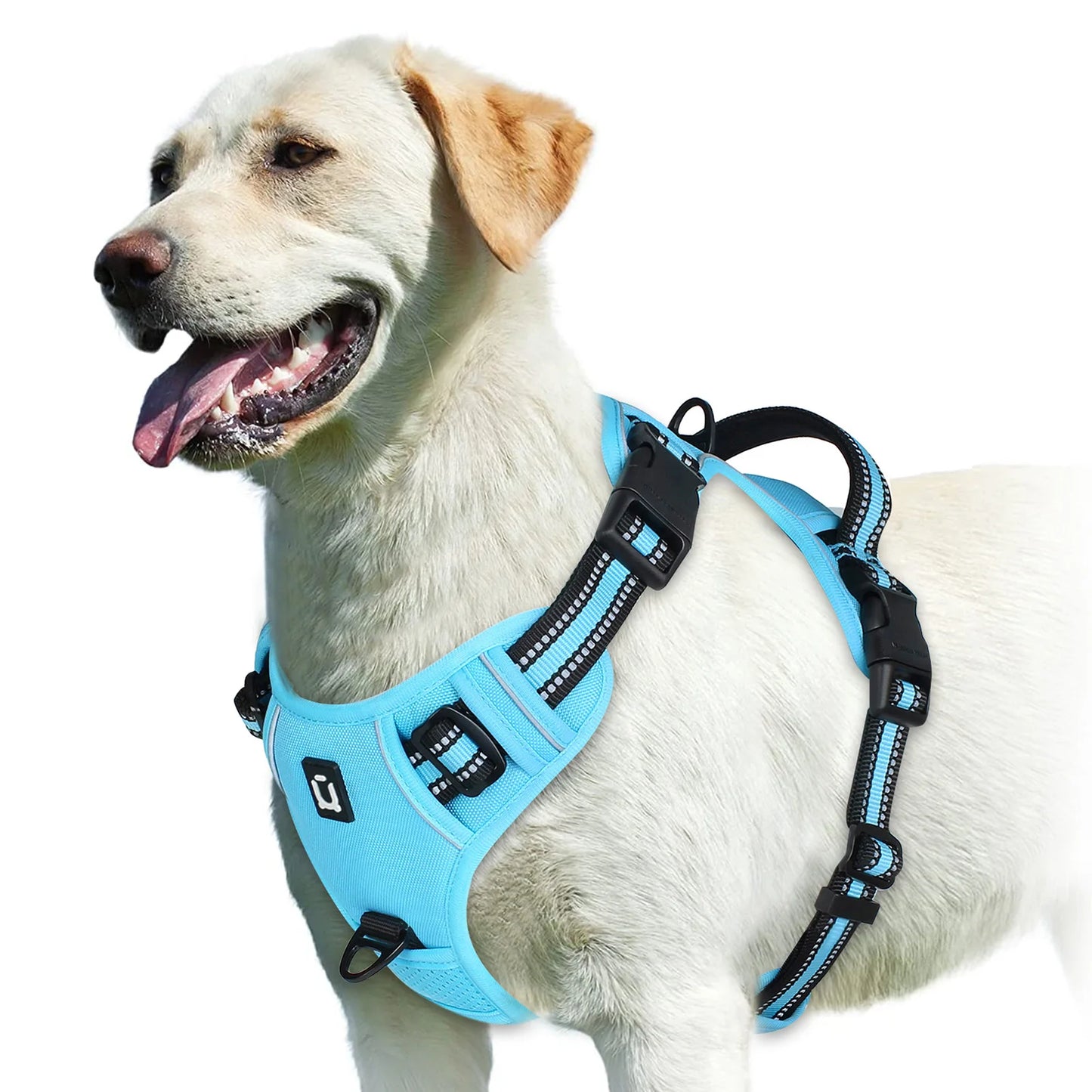 Harnais Chien Anti-Traction Ajustable – Confort Rembourré