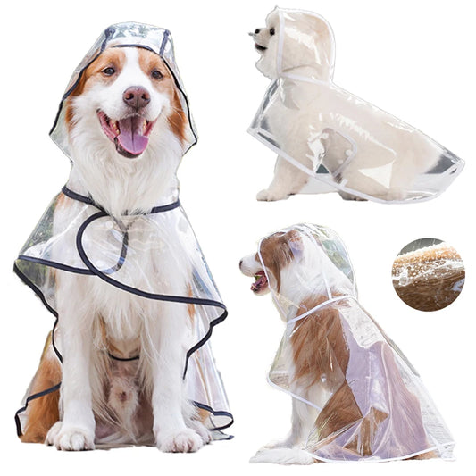 👉 Imperméable transparent pour chien – Poncho de pluie toutes tailles