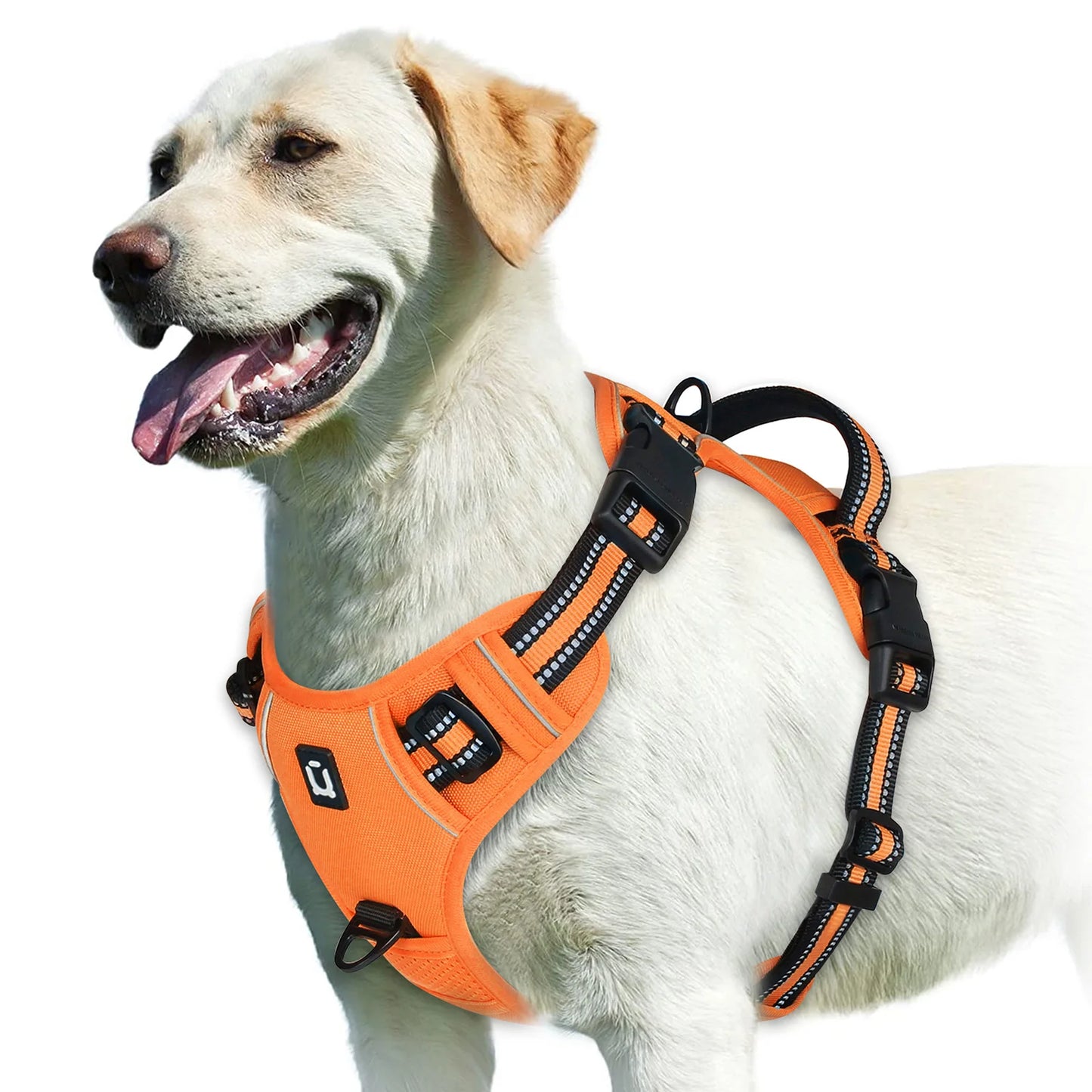 Harnais Chien Anti-Traction Ajustable – Confort Rembourré