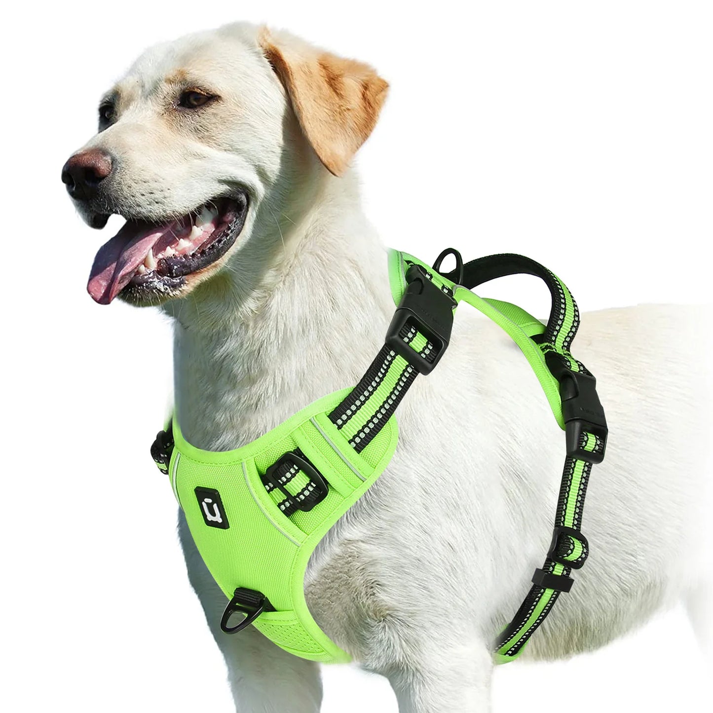 Harnais Chien Anti-Traction Ajustable – Confort Rembourré