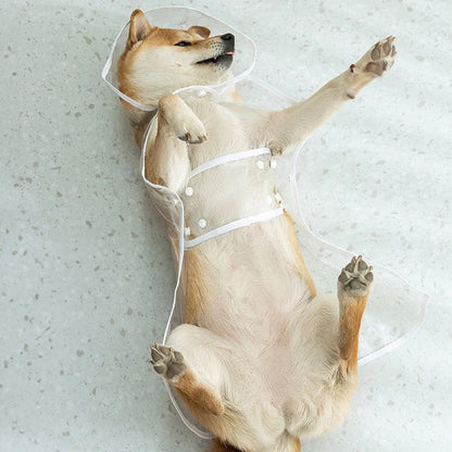 👉 Imperméable transparent pour chien – Poncho de pluie toutes tailles