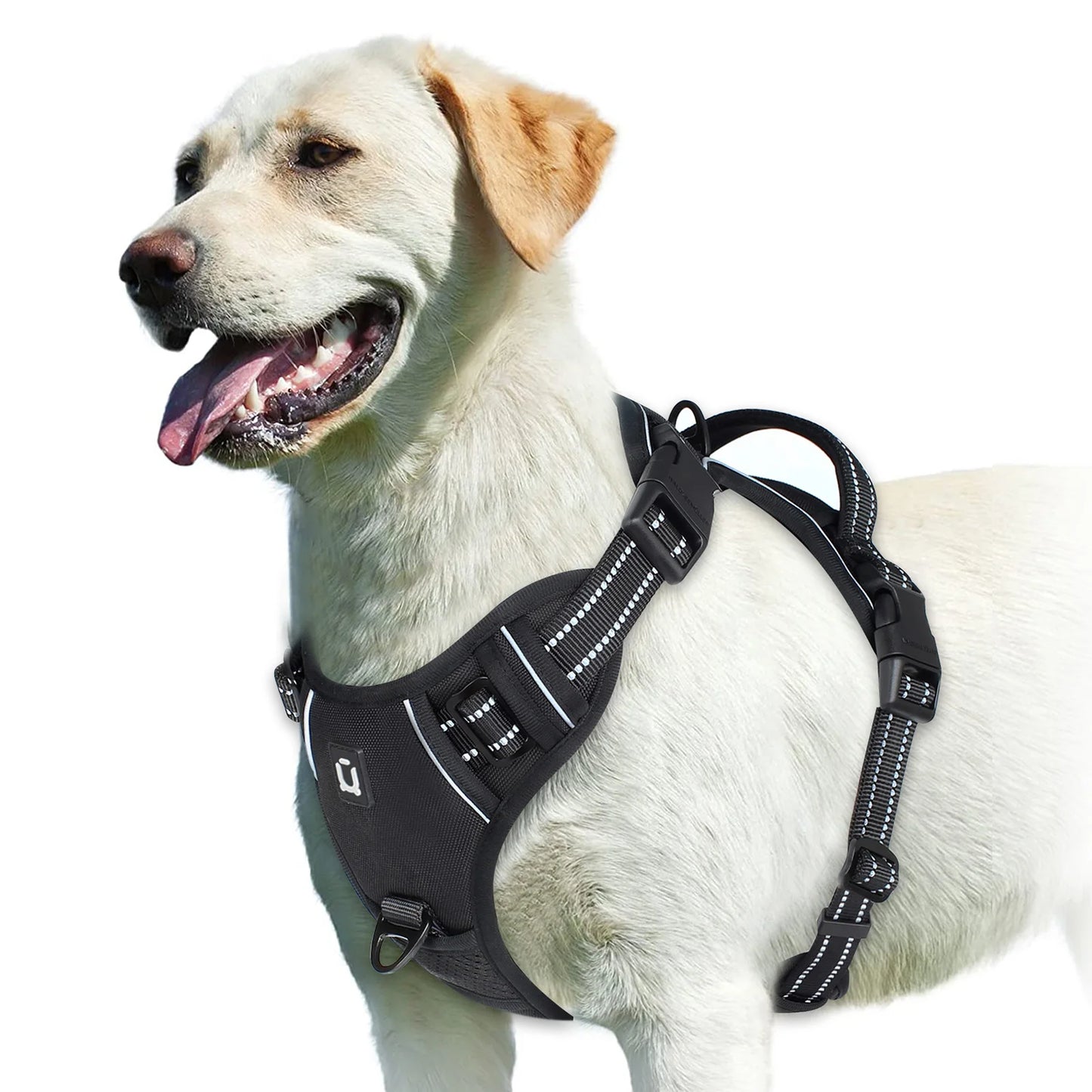 Harnais Chien Anti-Traction Ajustable – Confort Rembourré