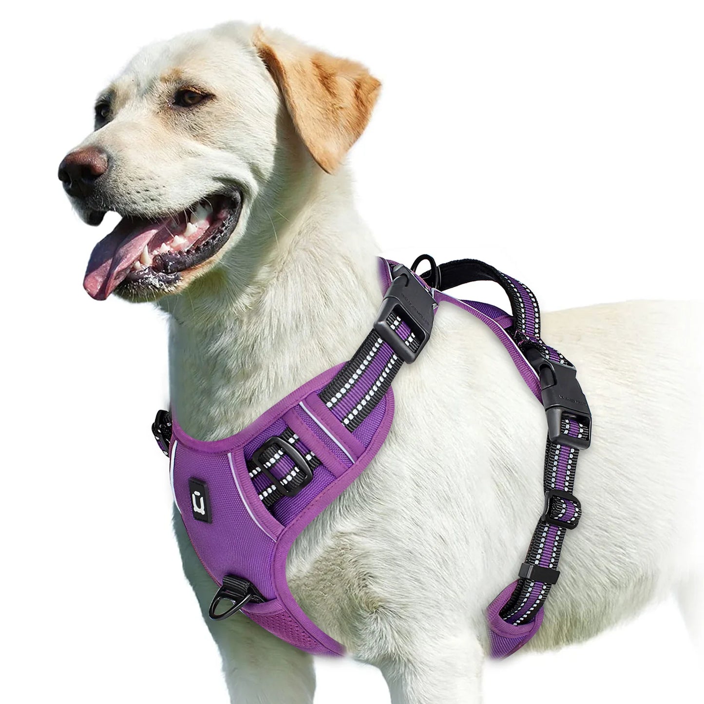 Harnais Chien Anti-Traction Ajustable – Confort Rembourré