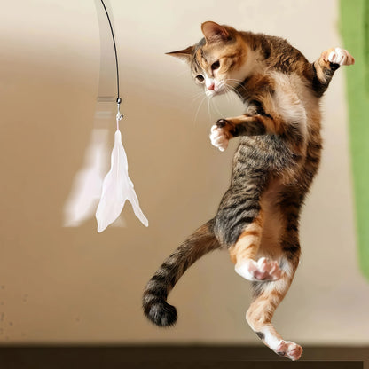 Jouet Chat Interactif Plume – Canne avec Ventouse