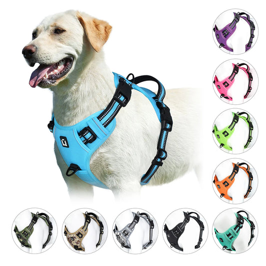 Harnais Chien Anti-Traction Ajustable – Confort Rembourré