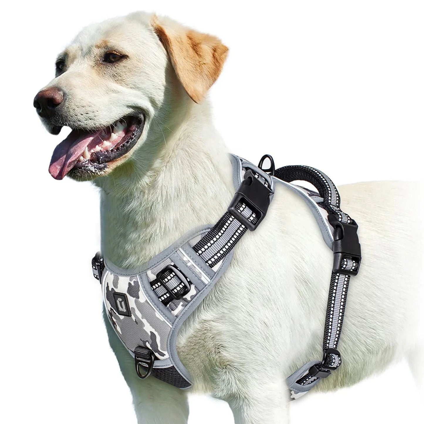 Harnais Chien Anti-Traction Ajustable – Confort Rembourré
