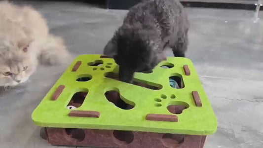 👉 Jouet puzzle interactif pour chat – Boîte en feutrine avec balles