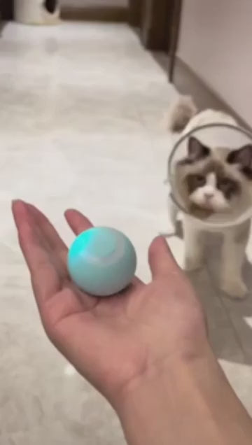 Jouet de balle électrique pour chat, intelligent à roulement automatique,interactif,auto-mobiles