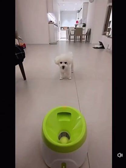 Lanceur de balle interactif & distributeur de friandises pour chiens