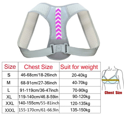 Support dorsale Plus