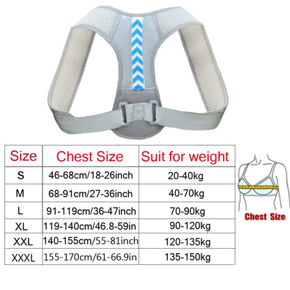 Support dorsale Plus